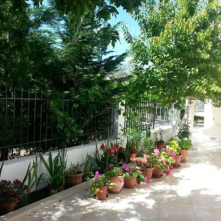 Appartamento Elenas Garden Kávos Esterno foto
