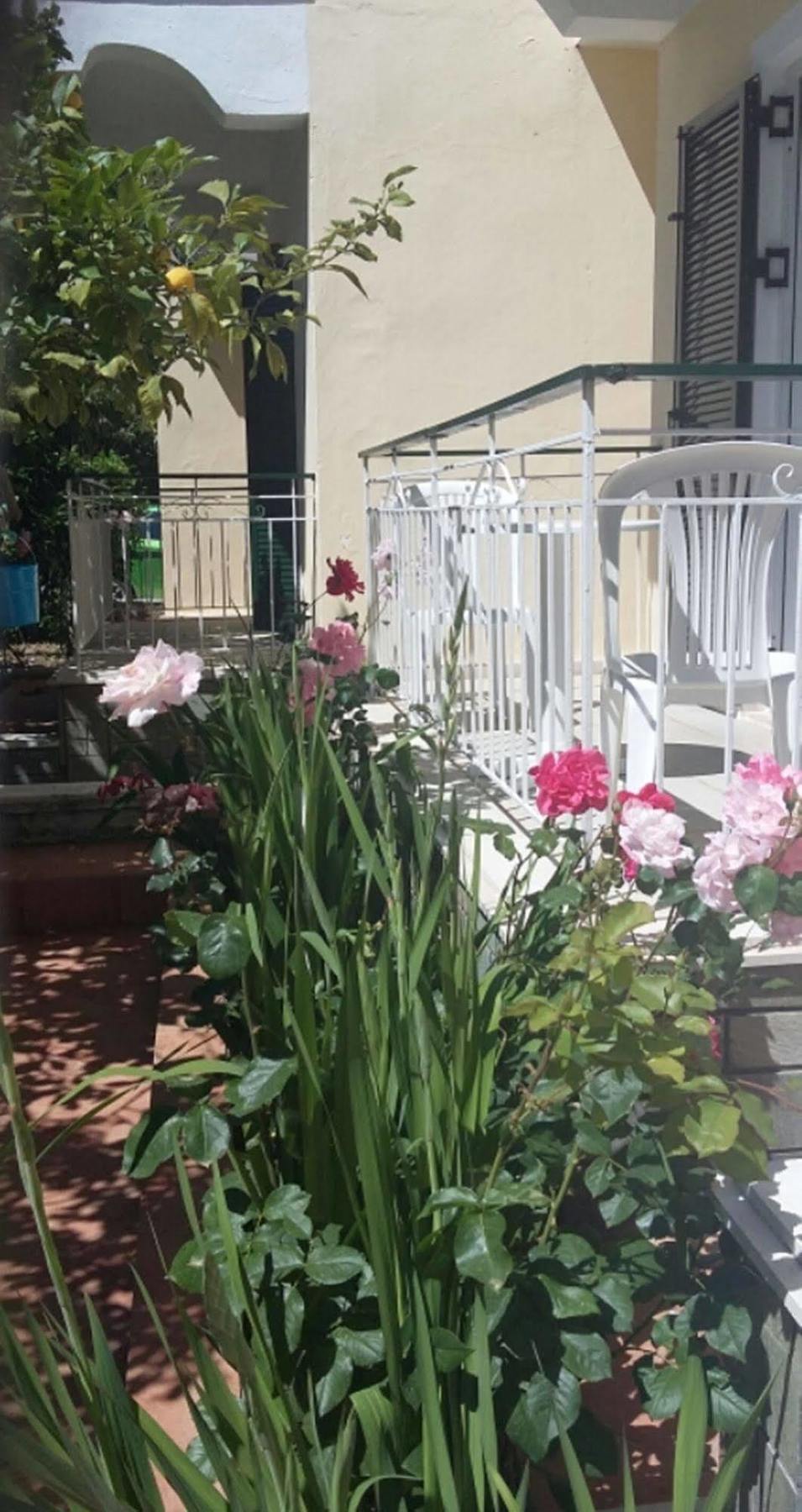 Elenas Garden